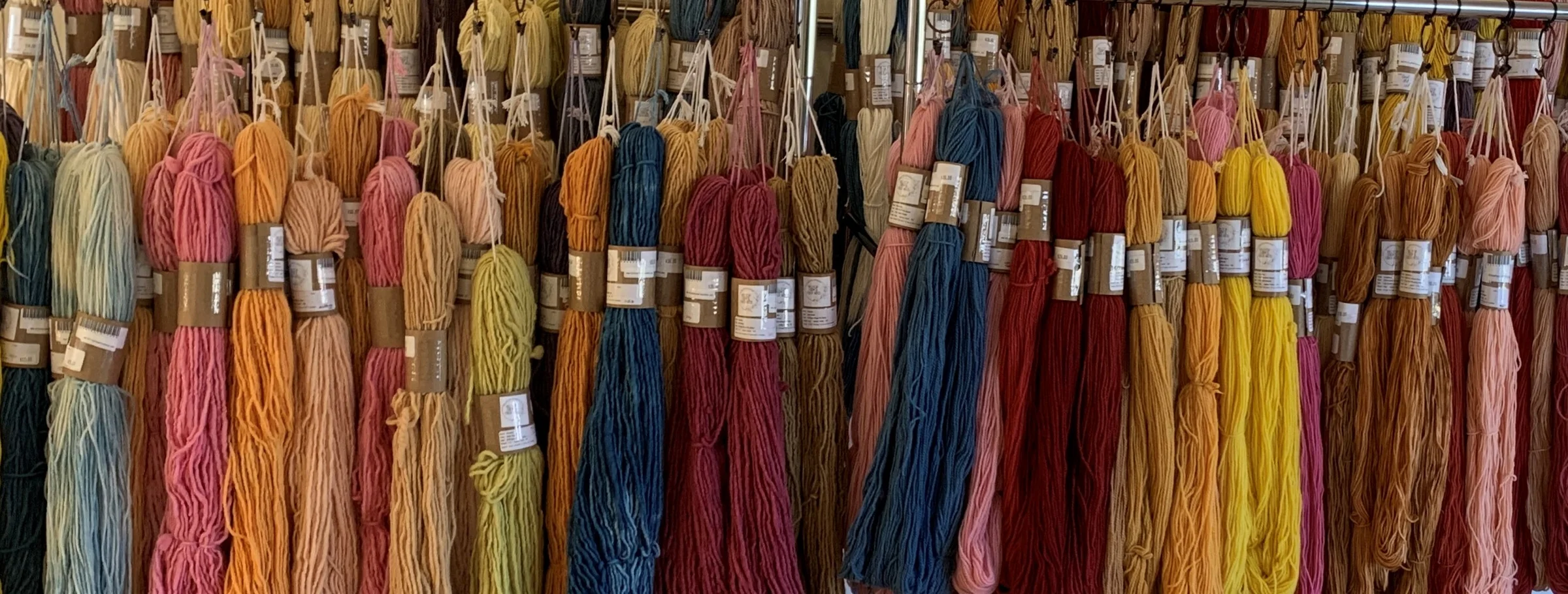 February 2024- Introduction to Natural Dyeing with Lisa Dachinger